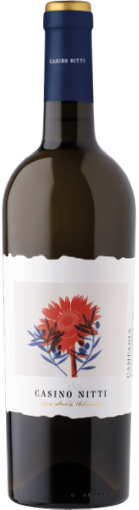 Casino Nitti Fiano